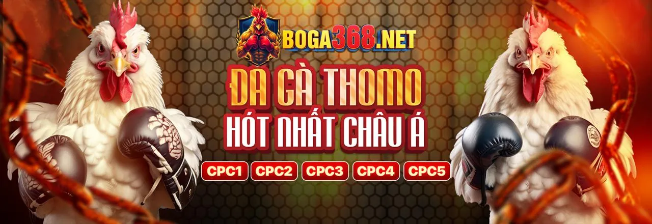 Đá Gà Trực Tuyến vin99