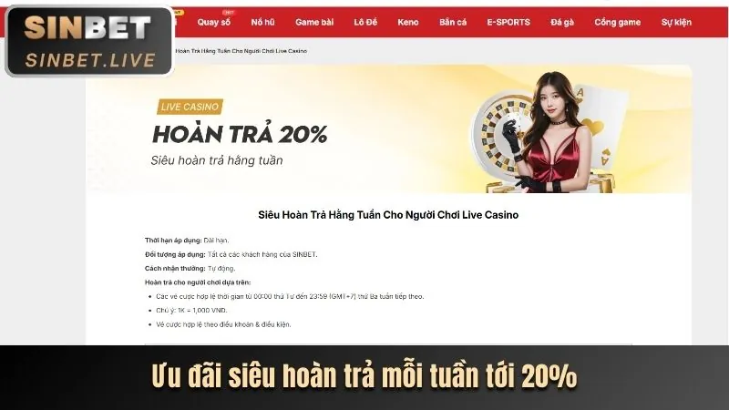 Hình ảnh hoàn trả cá cược thể thao vin99